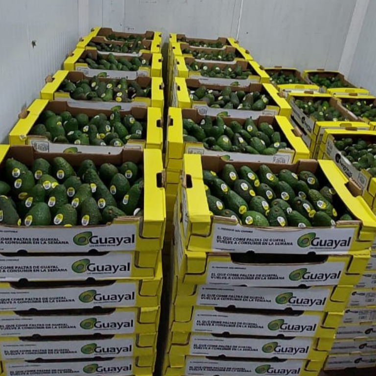 Diseño sin título (13)