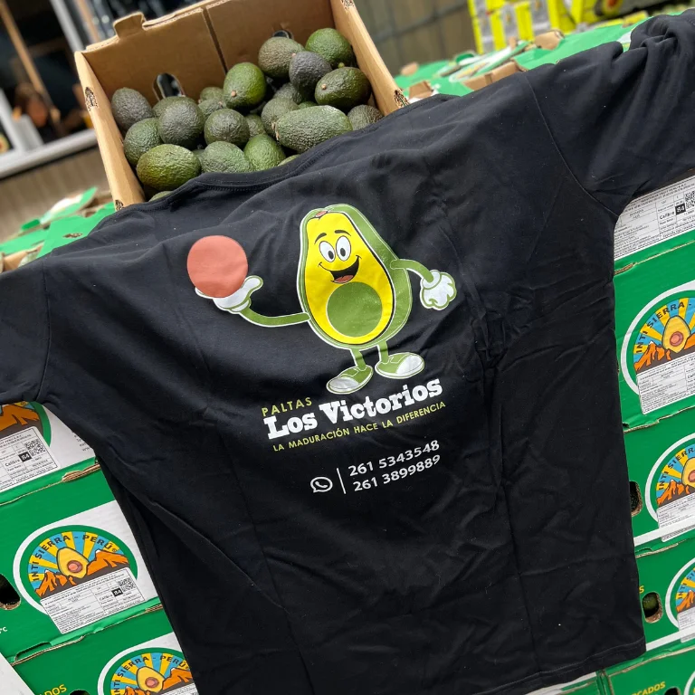 Diseño sin título (14)