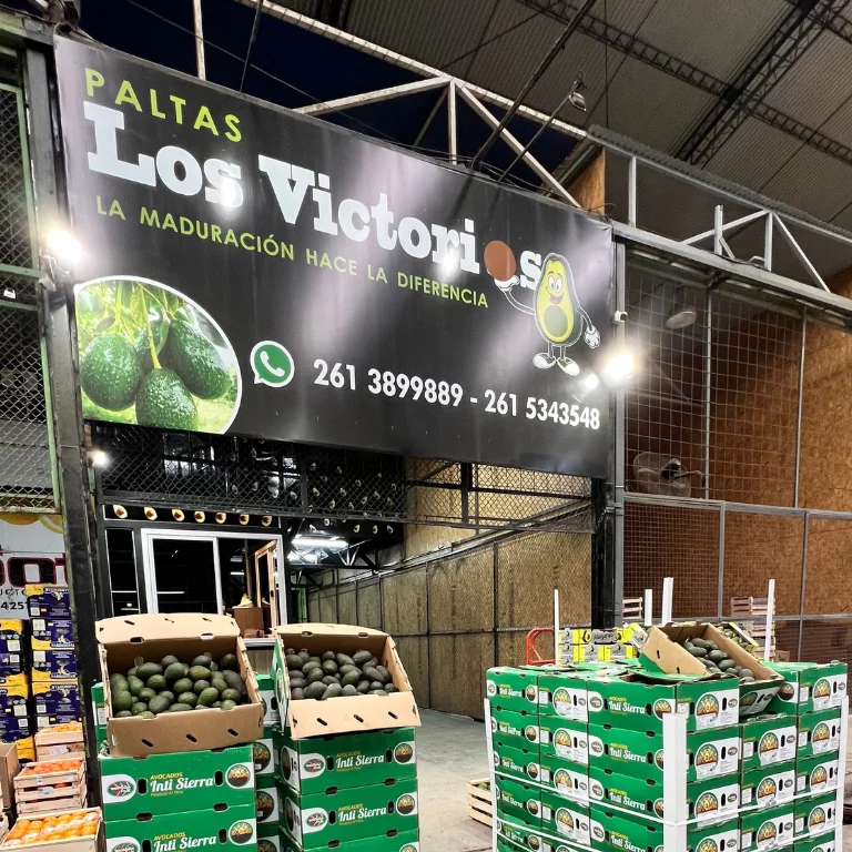 Diseño sin título (24)