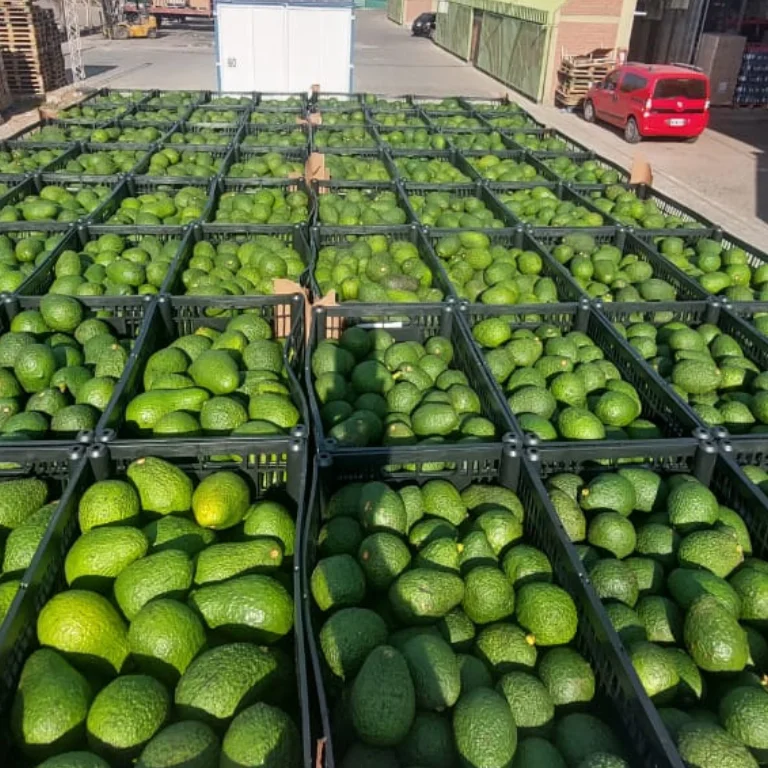 Diseño sin título (25)