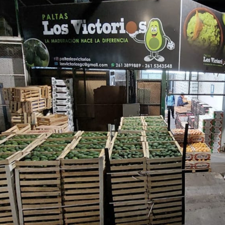 Diseño sin título (26)