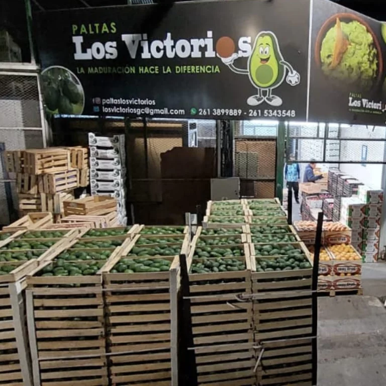 Diseño sin título (26)